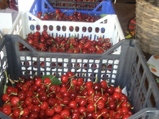 Il Castagneto - Appartamenti - foto 4